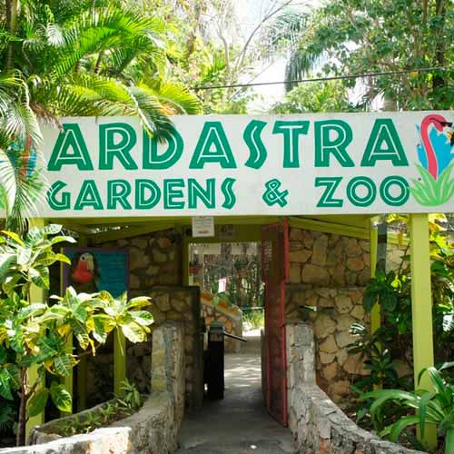 Ardastra Gardens & Zoo