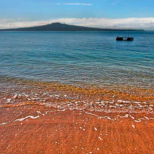 Passeio para a Ilha Rangitoto