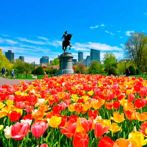 Jardim Público de Boston