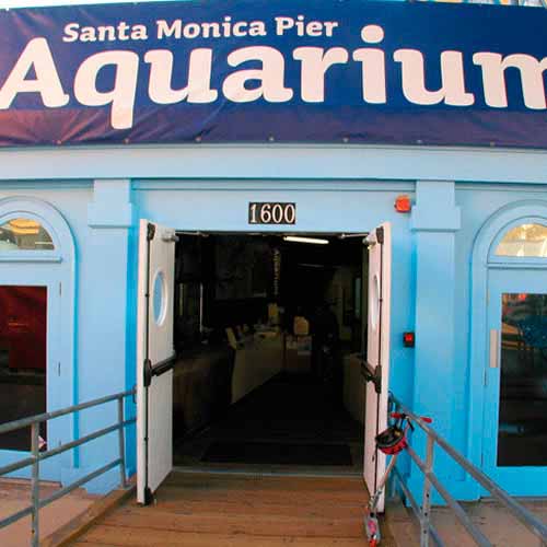 Los Angeles, descubra todos os custos e dicas para viajar!