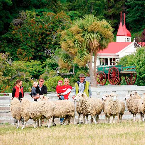 Tour Walter Peak Farm