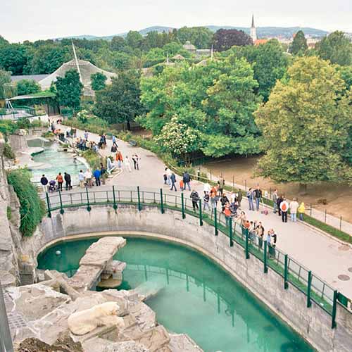 Zoológico de Viena (Schönbrunn Zoo)